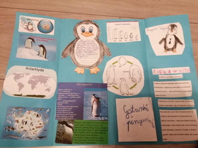 Z wizytą na Antarktydzie – Szkoła Podstawowa